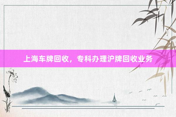 上海车牌回收，专科办理沪牌回收业务